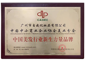 中國(guó)美發(fā)行業(yè)新生力量品牌